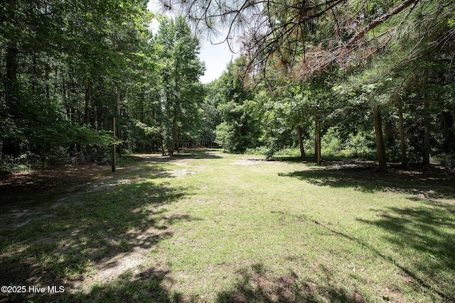 6509 Fawn Settle Dr, Wilmington, NC 28409 - view of grassy yard featuring a forest view