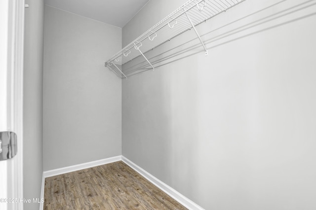 141 Beacon Woods Dr, Holly Ridge, NC 28445 - walk in closet with wood finished floors