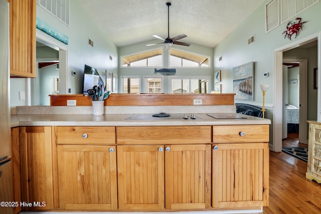 living area with lofted ceiling, a ceiling fan, wood finished floors, and visible vents