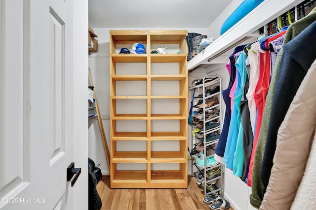 spacious closet featuring wood finished floors