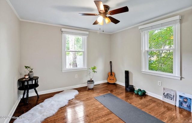 exercise area featuring a ceiling fan, wood finished floors, baseboards, and crown molding