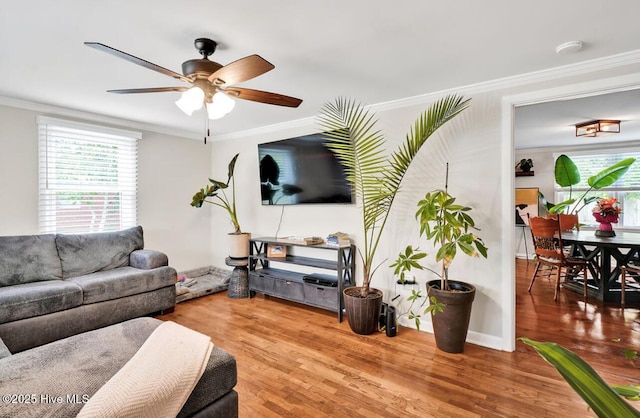 living area featuring ornamental molding, a ceiling fan, and wood finished floors