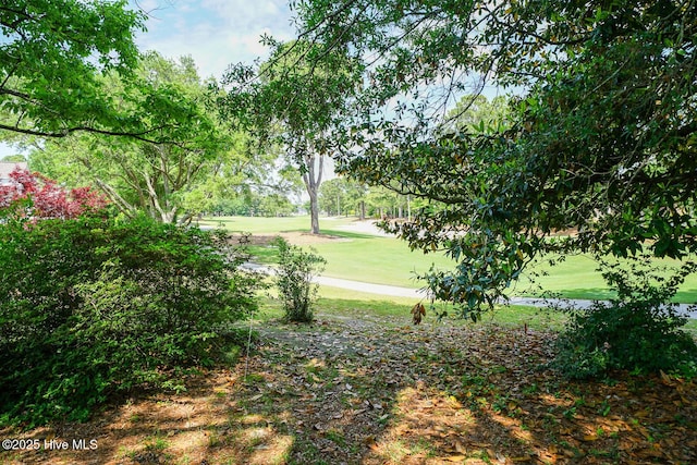 view of community with a yard