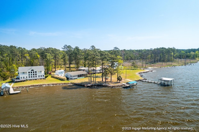 283 Chambers Point Rd, Belhaven, NC 27810 - dock with a water view and a forest view