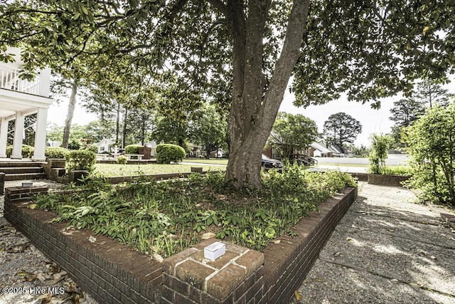 300 Moye Ave NW, Wilson, NC 27893 - view of yard