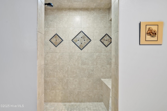 bathroom view of a tile shower