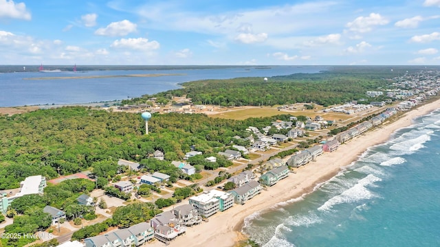 bird's eye view of extended coastline and a forest