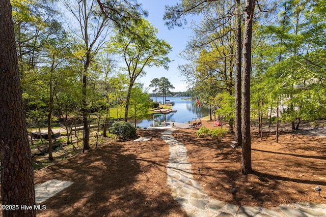 105 Tucker Ct, West End, NC 27376 - water view featuring a dock