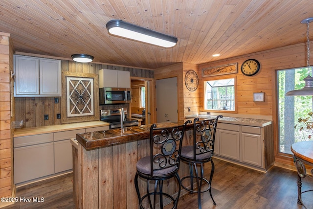 105 Tucker Ct, West End, NC 27376 - kitchen with stainless steel appliances, wooden walls, dark wood-style floors, wood ceiling, and an island with sink