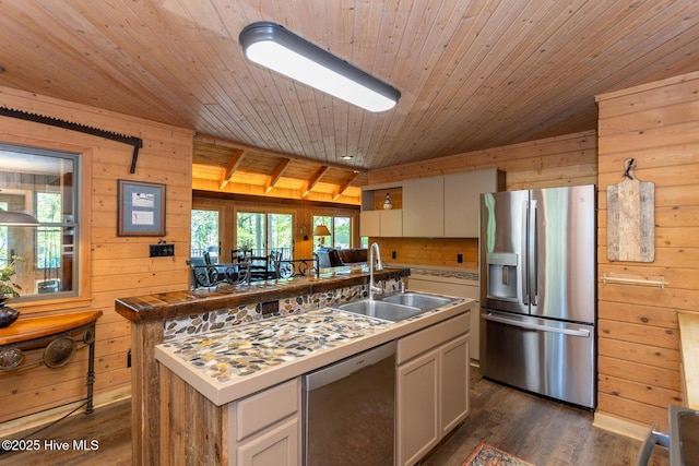 105 Tucker Ct, West End, NC 27376 - kitchen with stainless steel appliances, a sink, wood walls, wooden ceiling, and healthy amount of natural light
