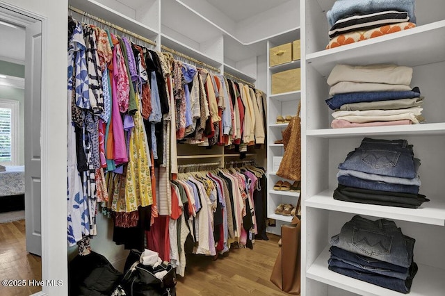 walk in closet featuring wood finished floors