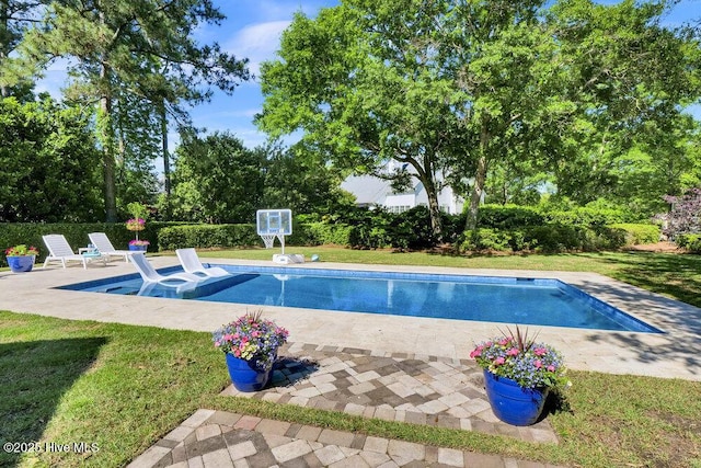 outdoor pool with a patio and a yard