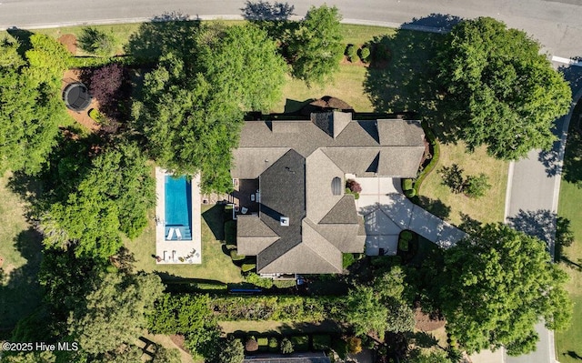 bird's eye view