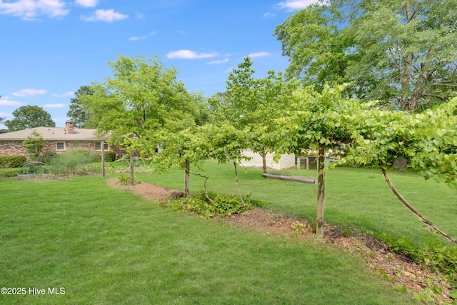 2022 Pinedale Rd, Rockingham, NC 28379 - view of green lawn
