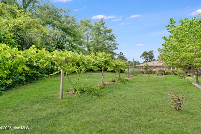 2022 Pinedale Rd, Rockingham, NC 28379 - view of grassy yard