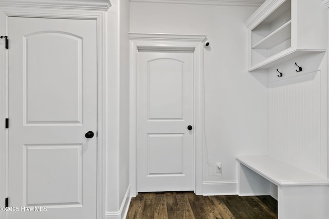 mudroom with baseboards and dark wood-type flooring