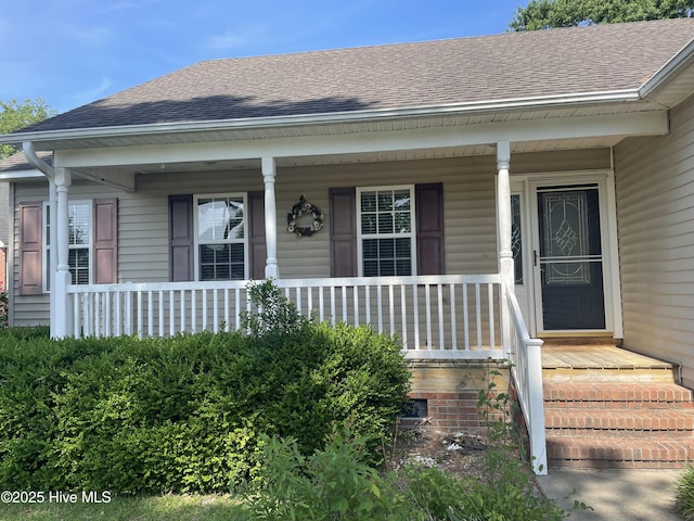 entrance to property with a porch and roof with shingles