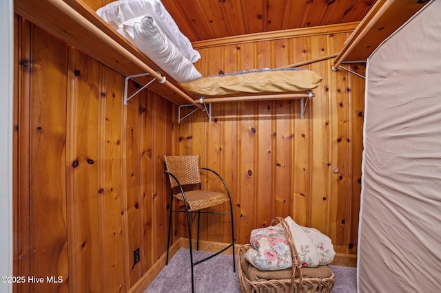 walk in closet featuring carpet