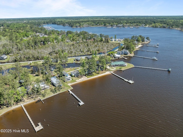 bird's eye view featuring a view of trees and a water view