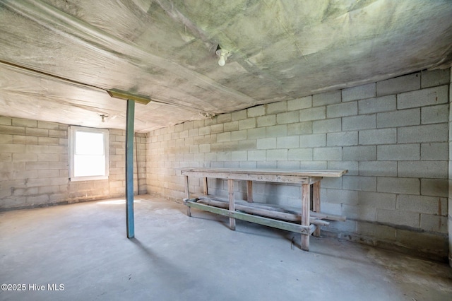 basement with concrete block wall
