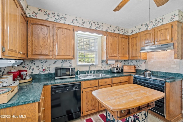 kitchen featuring under cabinet range hood, dishwasher, electric stove, a sink, and stainless steel microwave