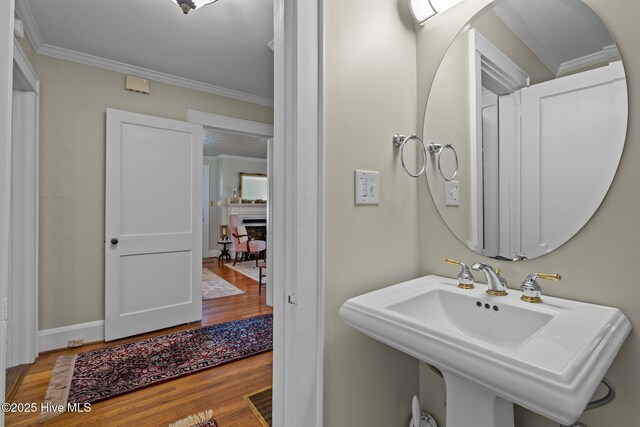 bathroom featuring wood finished floors, crown molding, and a sink