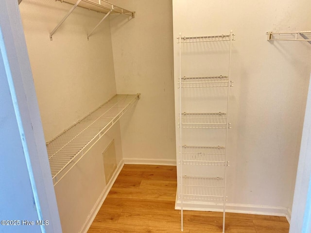 4105 Breezwood Dr Unit 203, Wilmington, NC 28412 - walk in closet with wood finished floors