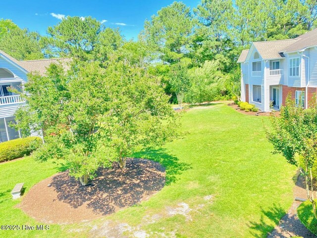 4105 Breezwood Dr Unit 203, Wilmington, NC 28412 - view of grassy yard