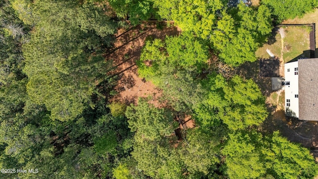 259 Luther Banks Rd, Richlands, NC 28574 - bird's eye view