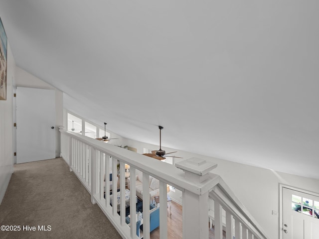 267 Live Oak Rd, Newport, NC 28570 - hall featuring carpet