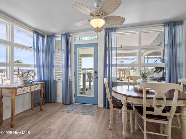 267 Live Oak Rd, Newport, NC 28570 - dining area featuring wood finished floors, ceiling fan, plenty of natural light, and baseboards