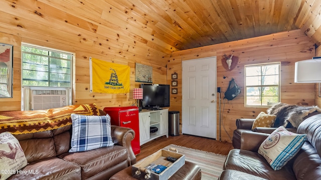 living area featuring wood ceiling, wood finished floors, wood walls, and a wealth of natural light