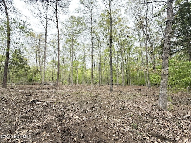 LOT5 Stoneridge Dr, Stem, NC 27581
