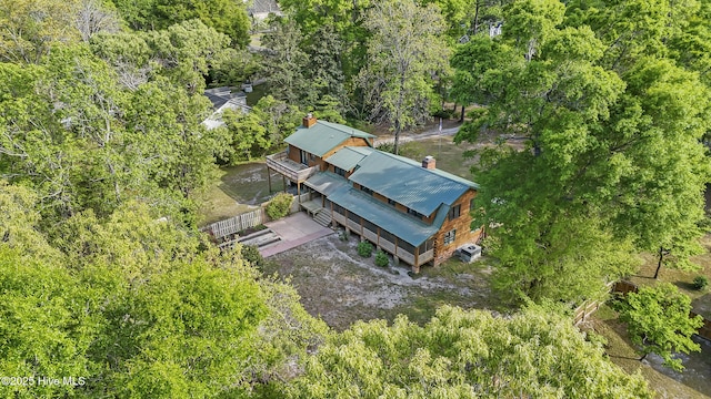 bird's eye view