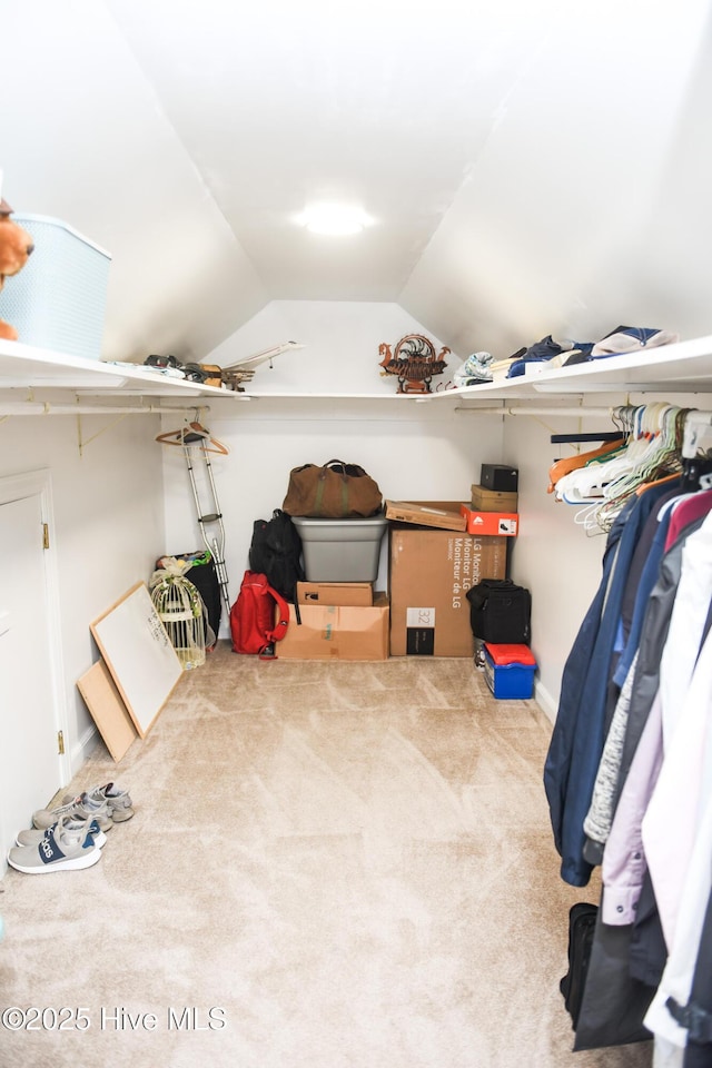 spacious closet featuring vaulted ceiling and carpet