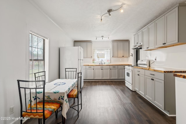 802 2nd St, Elizabeth City, NC 27909 - kitchen featuring wood counters, dark wood finished floors, a wealth of natural light, and white gas stove