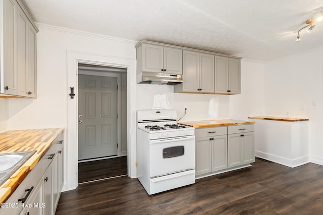 802 2nd St, Elizabeth City, NC 27909 - kitchen with under cabinet range hood, butcher block counters, dark wood finished floors, and white gas stove