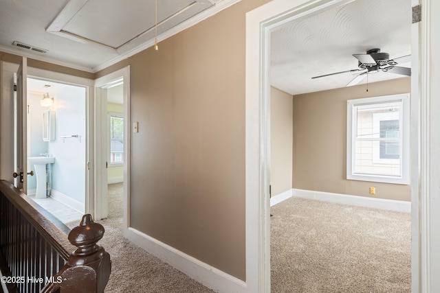 802 2nd St, Elizabeth City, NC 27909 - hall featuring carpet, a sink, attic access, visible vents, and baseboards