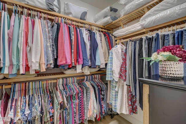 view of spacious closet