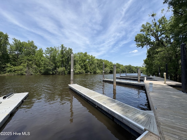 dock area with a water view