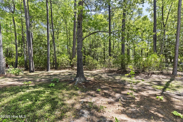 1626 Amberwood Dr SE, Bolivia, NC 28422 - view of local wilderness with a wooded view