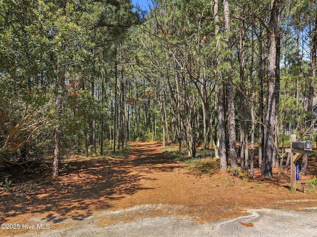 121 Pinewood Acres Dr, Powells Point, NC 27966 - view of road featuring a forest view