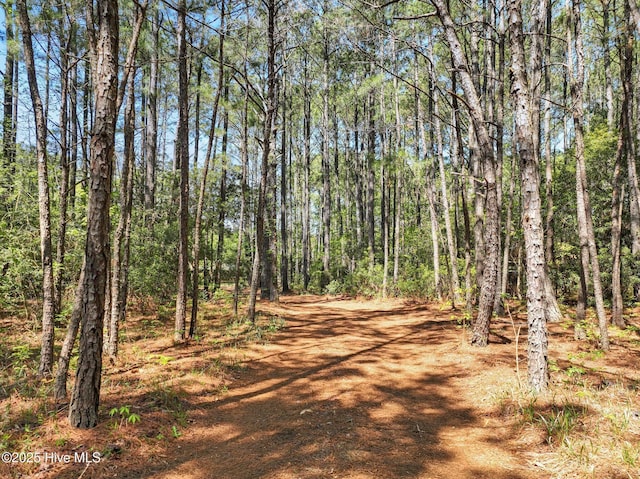 121 Pinewood Acres Dr, Powells Point, NC 27966 - view of road with a view of trees