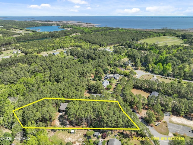 121 Pinewood Acres Dr, Powells Point, NC 27966 - drone / aerial view with a view of trees and a water view