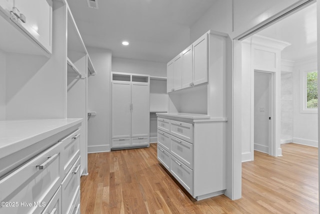 spacious closet with light wood-style flooring