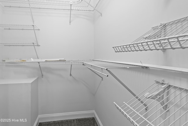 view of walk in closet