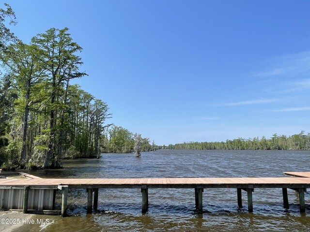433 Riversound Dr, Edenton, NC 27932 - view of dock with a water view