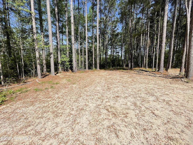 433 Riversound Dr, Edenton, NC 27932 - view of local wilderness with a wooded view