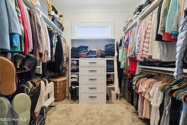 333 N Island Xing, Edenton, NC 27932 - walk in closet featuring light colored carpet