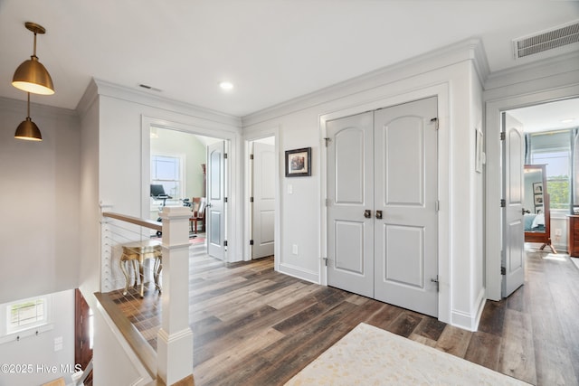 333 N Island Xing, Edenton, NC 27932 - entrance foyer with visible vents, dark wood-type flooring, and crown molding